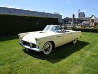 1955 Ford, Thunderbird 1955 Ford, Thunderbird