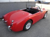 1960 Austin Healey, Frogeye rood 1960 Austin Healey, Frogeye rood