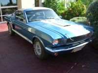 1966 Shelby, GT350 1966 Shelby, GT350