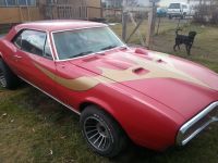 1967 Pontiac, Firebird 1967 Pontiac, Firebird