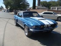 1967 Shelby, GT350 1967 Shelby, GT350