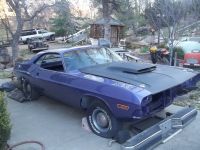 1970 Dodge, Challenger T/A 1970 Dodge, Challenger T/A