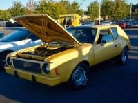 1974 AMC, Other models 1974 AMC, Other models