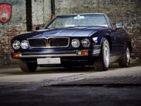 1978 Maserati, Kyalami 1978 Maserati, Kyalami