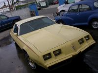 1979 Pontiac, Firebird 1979 Pontiac, Firebird