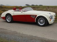 1998 Austin-Healey, Other models 1998 Austin-Healey, Other models