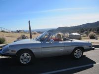 SPIDER VELOCE SPIDER VELOCE